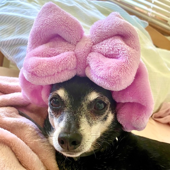 Meet your Posher, Nani - Picture 1 of 1